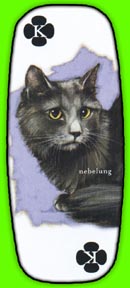 nebelung card